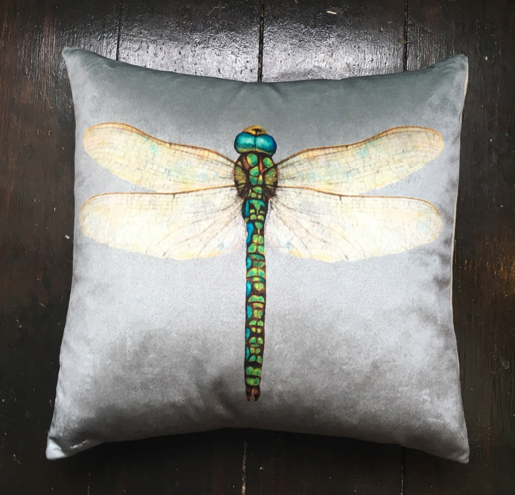 Tuppence-Grey Velvet Dragonfly Cushion