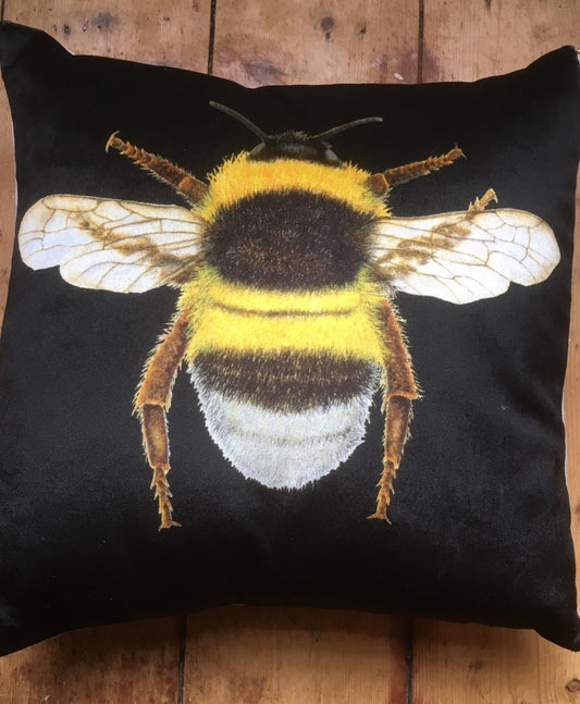 Tuppence-Black Velvet Bee Cushion