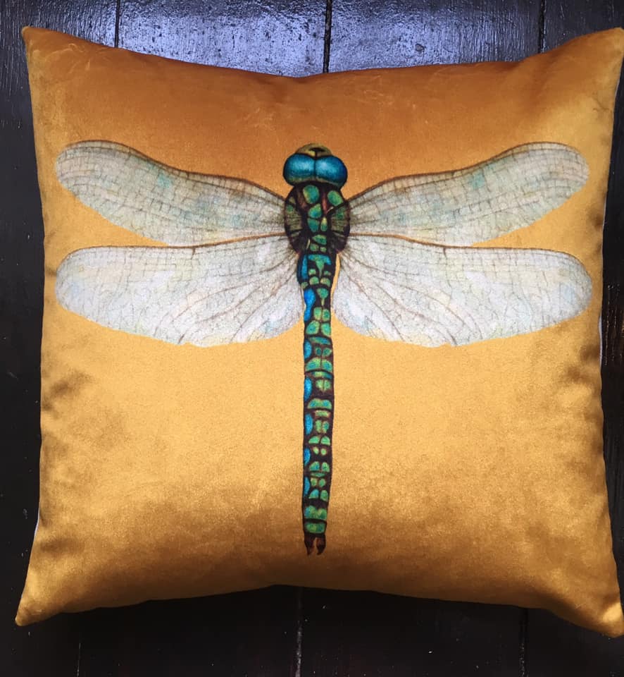 Tuppence-Yellow Velvet Dragonfly Cushion freeshipping - lovescottish